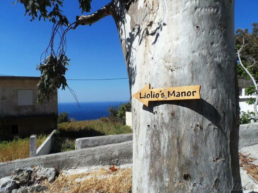 Вилла Liolio'S Manor Agalianos Экстерьер фото